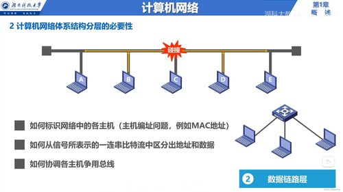 计算机网络基础 从定义到体系结构的概述